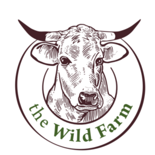 divata frema logo zelen portal